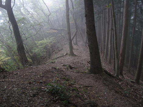 20151021hike (299)